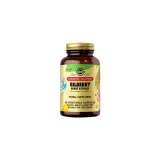 sfp-bilberry-berry-extract