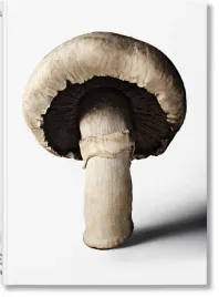 the-gourmand-s-mushroom-a-collection-of-stories-and-recipes-the-gourmand