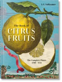 j-c-volkamer-the-book-of-citrus-fruits-45th-ed-j-c-volkamer
