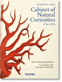 cabinet-of-natural-curiosities-wer-angielska-irmgard-musch