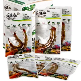 probugs-eco-fresh-scolopendra-centipede-15-x-2pcs-swieze-skolopendry-15-s