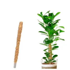 palik-kokosowy-tyczka-podpora-do-roslin-60cm-m