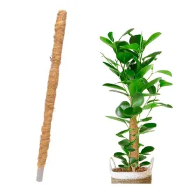 palik-kokosowy-tyczka-podpora-do-roslin-100cm-xl