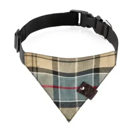 modna-obroza-dla-psa-rozm-s-z-bandana-petsome
