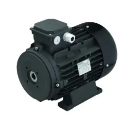 silnik-elektryczny-230v-50hz-25hp-18-kw-bez-walu