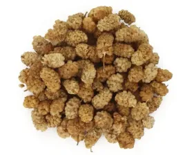 morwa-biala-suszony-owoc-nutin-100g