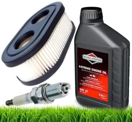 olej-do-kosiarki-silnik-czterosuwowy-sae-30-06l-briggsandstratton-100005e