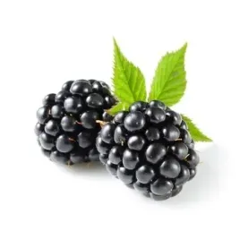 jezyna-portugalia-125g