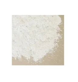gips-ceramiczny-do-odlewow-bialy-1kg-blik