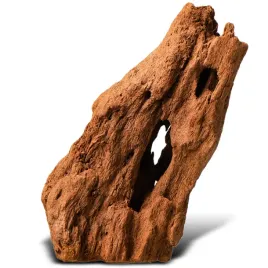 drzewo-mangrowca-z-wody-xs-ok-16cm-korzenie-philippines-classic-driftwood