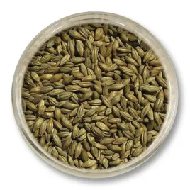 slod-wiedenski-viking-malt-7-12-ebc-1kg