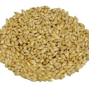 slod-pale-ale-55-75-ebc-weyermann-1-kg-rodzaj-slodu-jeczmienny
