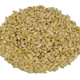slod-pilznenski-3-5-ebc-weyermann-5-kg