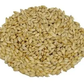 slod-pilznenski-3-5-ebc-weyermann-5-kg