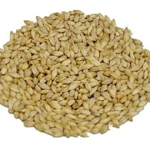 slod-pilznenski-3-5-ebc-weyermann-5-kg-rodzaj-slodu-jeczmienny