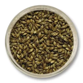 slod-karmelowy-150-viking-malt-100-180-ebc-05kg