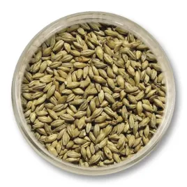slod-pilznenski-viking-malt-3-2-4-5-ebc-1kg