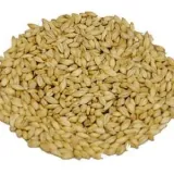 slod-pale-ale-55-75-ebc-weyermann-5-kg