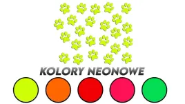 wycinane-naklejki-lapki-lapy-slady-kot-pies-24-sztuki-kolory-neonowe