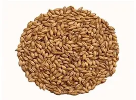 slod-abbey-malt-40-50-ebc-weyermann-05-kg