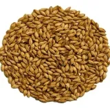 slod-caraamber-05-kg-weyermann