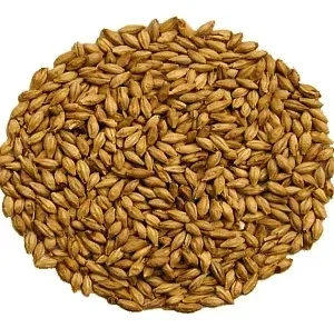 slod-caraamber-05-kg-weyermann-rodzaj-slodu-jeczmienny