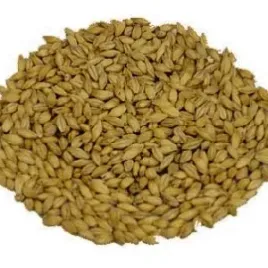 slod-caramunich-r-typ-ii-110-130-ebc-weyermann-r-1-kg