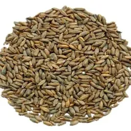 slod-zytni-3-8-ebc-weyermann-1-kg