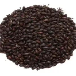 slod-carafa-r-special-typ-ii-1100-1200-ebc-weyermann-r-1-kg