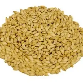 slod-karmelowy-jasny-carahell-20-30-ebc-weyermann-1-kg