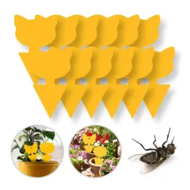 lep-na-muszki-owady-mszyce-muchy-osy-owocowki-pajaki-kot-zestaw-12-szt