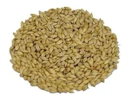 slod-jeczmienny-whisky-wedzony-dymem-z-torfu-1-kg