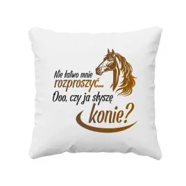 nie-latwo-mnie-rozproszyc-ooo-czy-ja-slysze-konie-poduszka-z-koniem