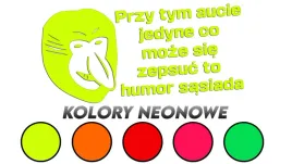 wycinana-naklejka-nosacz-janusz-humor-sasiada-kolory-neonowe-j-and-a