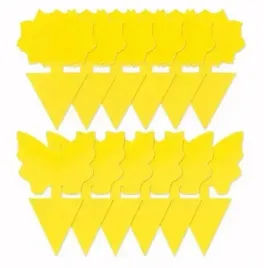 12-x-lepka-obustronna-pulapka-na-muszki-owocowki