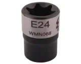 nasadka-1-2-e24-warynski