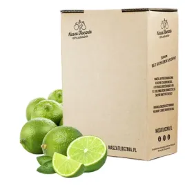 sok-z-limonki-100percent-wyciskany-limonka-bez-cukru-nfc-3000ml
