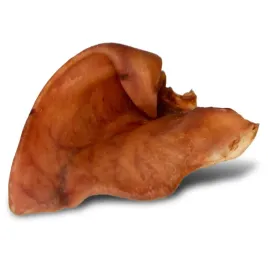 duze-wieprzowe-ucho-gryzak-dla-psa-x10-dogario-bonni-pig-s-ear-l