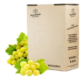 sok-z-winogron-100percent-tloczony-nfc-winogrono-biale-prosecco-nalewka-wino-3l