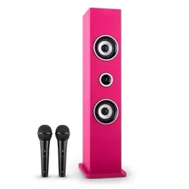 glosnik-kolumna-karaboom-karaoke-2xmikrofon-usb