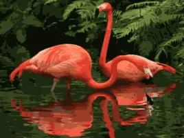 norimpex-malowanie-po-numerach-flamingi