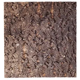 tlo-z-kory-do-terrarium-30x30cm-repti-zoo-big-tree-background