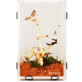 terrarium-akrylowe-dla-modliszek-i-owadow-terrario-mantis-area-l