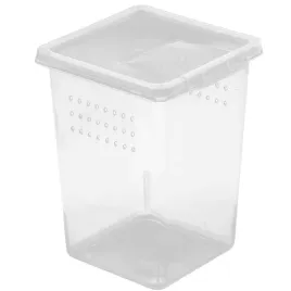 plastikowe-terrarium-9x9x11cm-terrario-insect-box-high