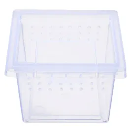 plastikowe-terrarium-65x65x45cm-terrario-insect-box-mini