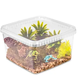 przezroczyste-terrarium-faunarium-dla-owadow-terrario-reptibox-19x19x12cm