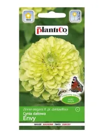 cynia-daliowa-envy-zielone-kwiaty-ozdobne-nasiona-1-g-plantico