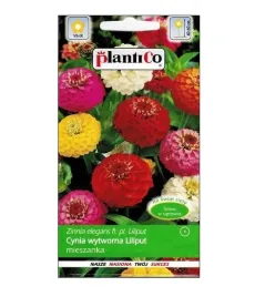 cynia-wytworna-daliowa-liliput-mix-pelne-kwiaty-nasiona-1-g-plantico