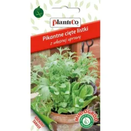 nasiona-plantico-pikantne-ciete-listki-1-g-446