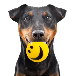 usmiechnieta-pileczka-happypet-smiley-ball-piszczaca-zabawka-sla-psa